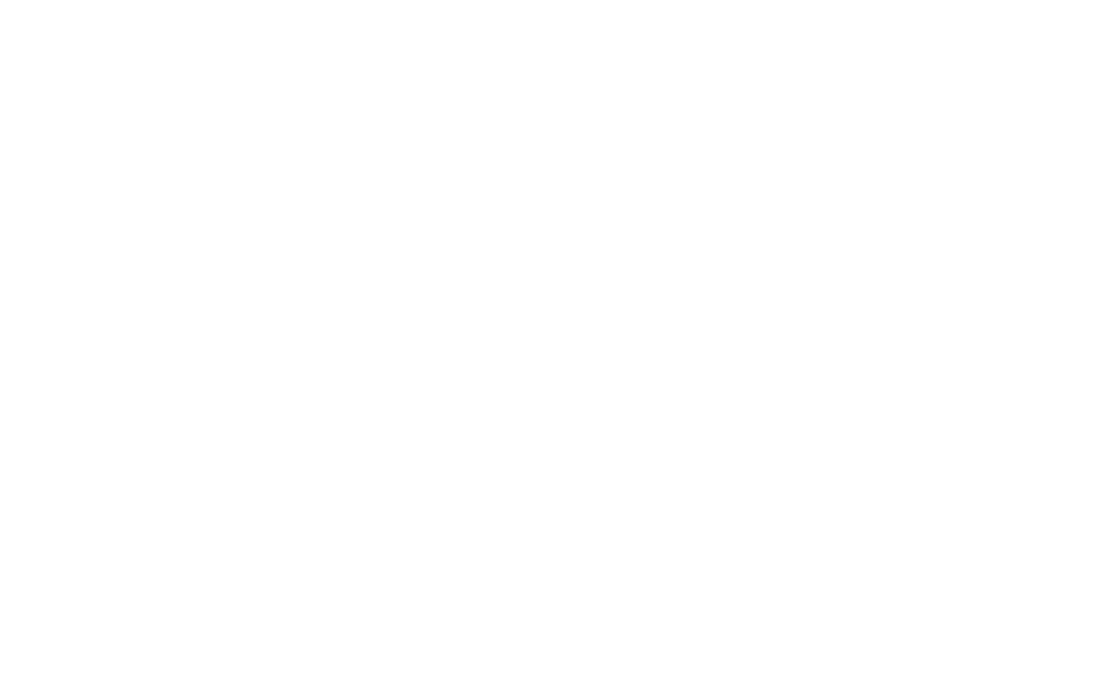 Logo_fly_black01