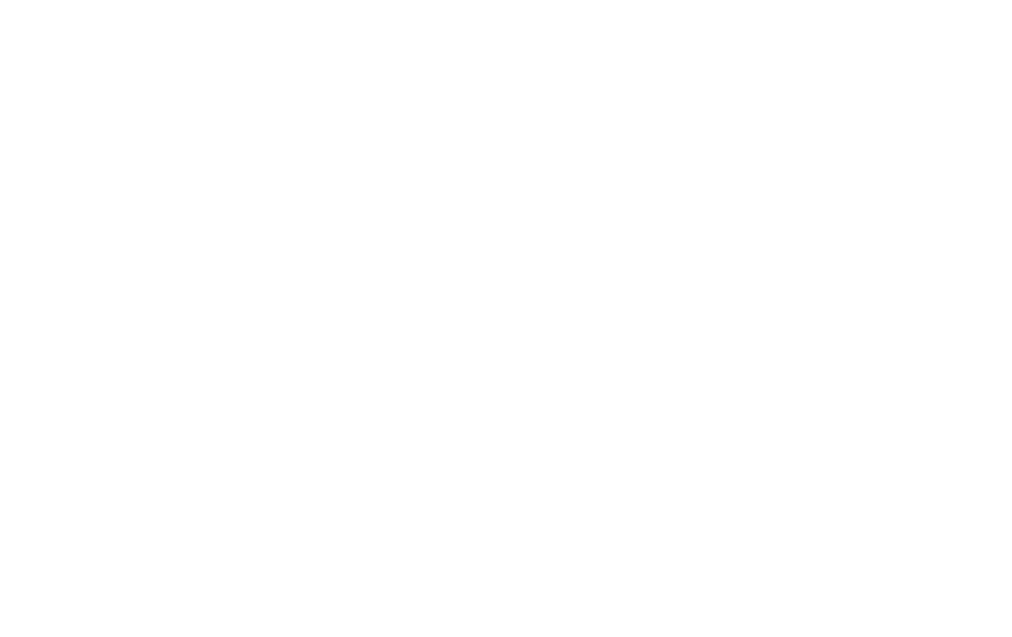 Logo_fly_black01